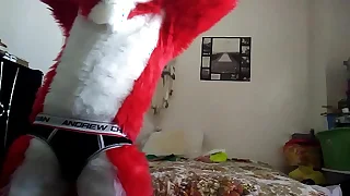 162 furry porn videos
